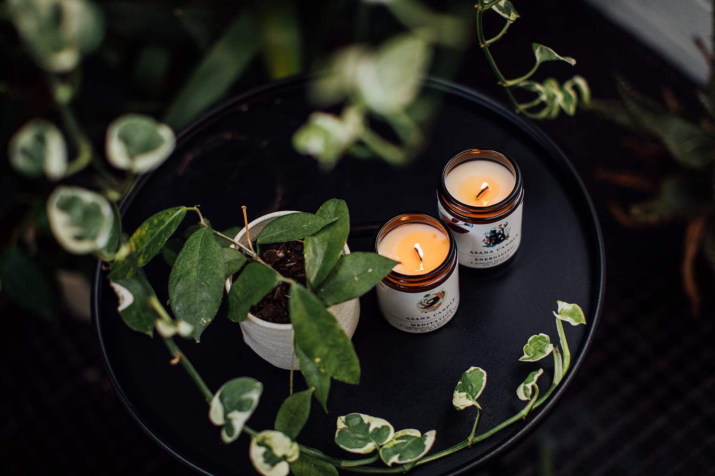 ASANA Gift Box: Relaxation, Meditation and Energising